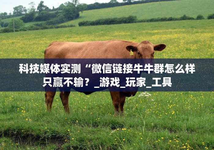 终于知道”大同棋牌扎股子哪里有卖挂[分享装挂详细步骤]