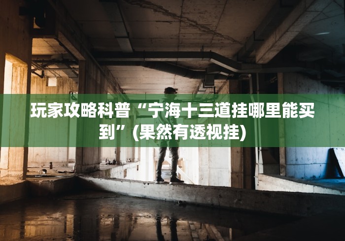 今日教程“吉祥麻将填大坑辅助器脚本怎么设置”(详细开挂教程)