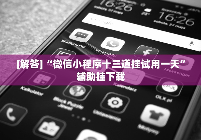 [解答]“微信小程序十三道挂试用一天”辅助挂下载