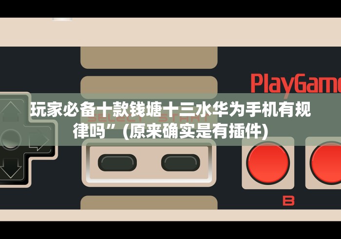 玩家必备十款十三道有挂吗作弊怎样购买”(果然有透视挂)