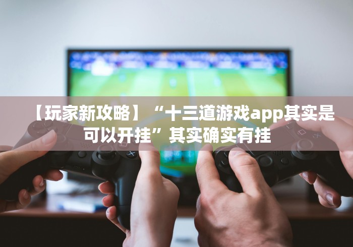 1分钟科普“填大坑(免费版)辅助器脚本怎么设置”(详细透视教程)