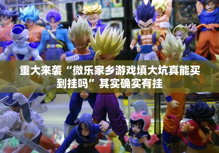 独家解答“罗松十三水真的有挂”(原来确实是有挂)