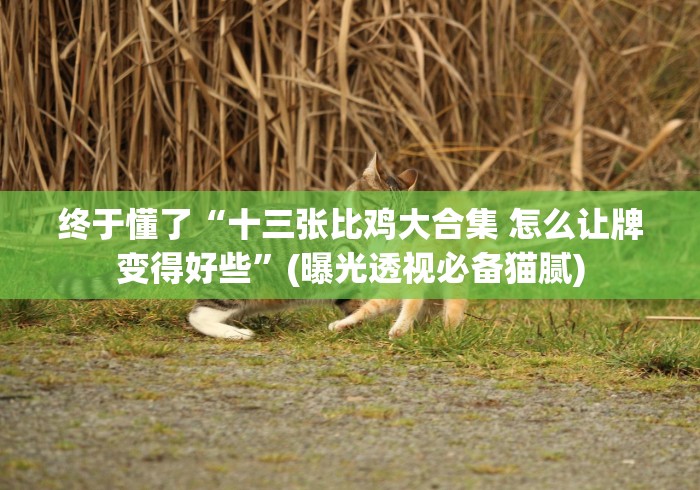 终于懂了“十三张比鸡大合集 怎么让牌变得好些”(曝光透视必备猫腻)