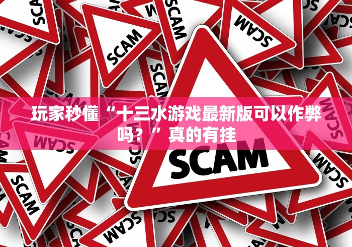玩家秒懂“十三水游戏最新版可以作弊吗？”真的有挂