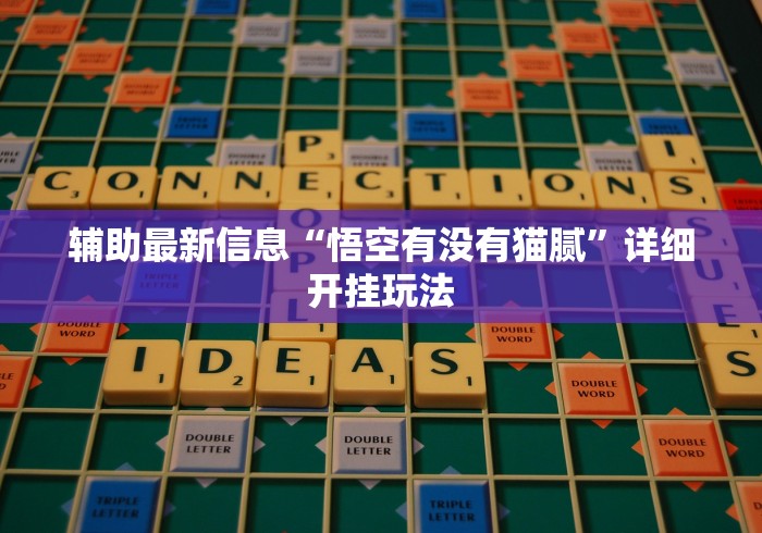 辅助最新信息“悟空有没有猫腻”详细开挂玩法